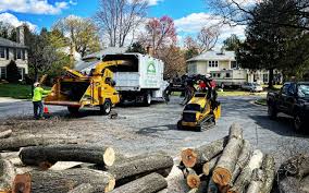 Best Pest Control for Lawns  in Southlake, TX