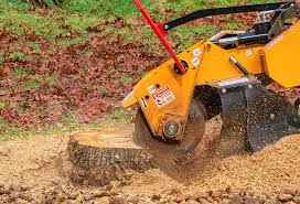 Best Aeration Services  in Southlake, TX